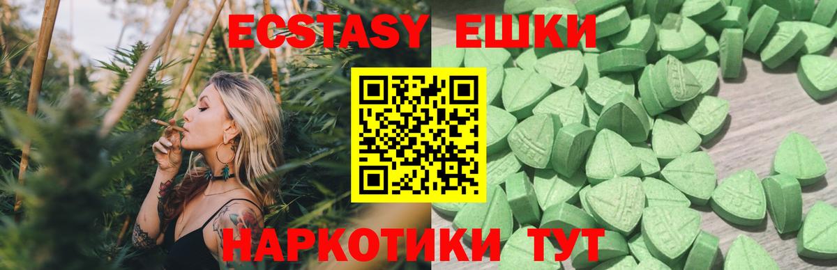 Ecstasy Philipp Plein Гулькевичи