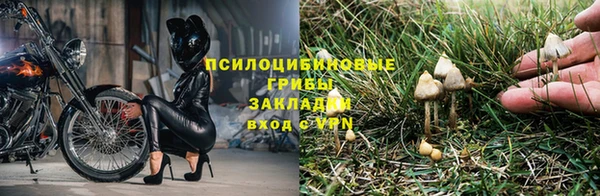 дживик Балахна