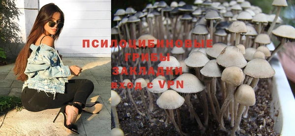 дживик Балахна