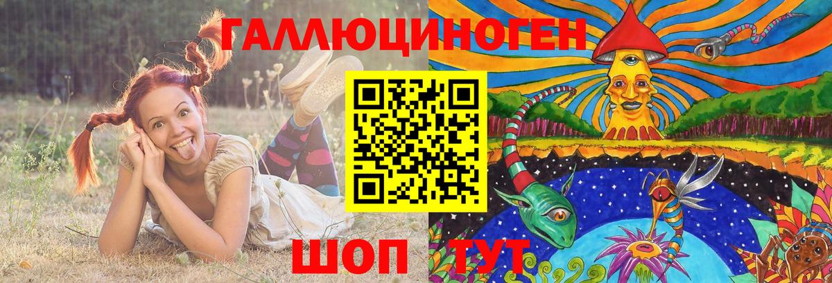 где купить   Вход с VPN  Гулькевичи  Галлюциногенные грибы Psilocybe 